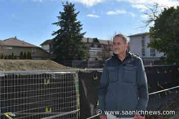 Sidney councillor laments potential loss of trees near proposed development - Saanich News