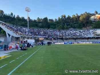 Daspo di un anno per tifoso Benevento responsabile aggressione steward in occasione partita playoff ad Ascoli - TV Sette Benevento