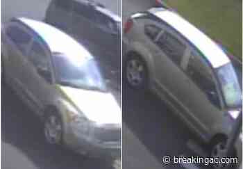 Brigantine police arrest man in theft of Acme cash register - breakingac.com