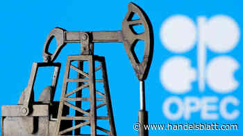 Rohstoff: Opec erwartet 2022 deutlich geringere Öl-Nachfrage