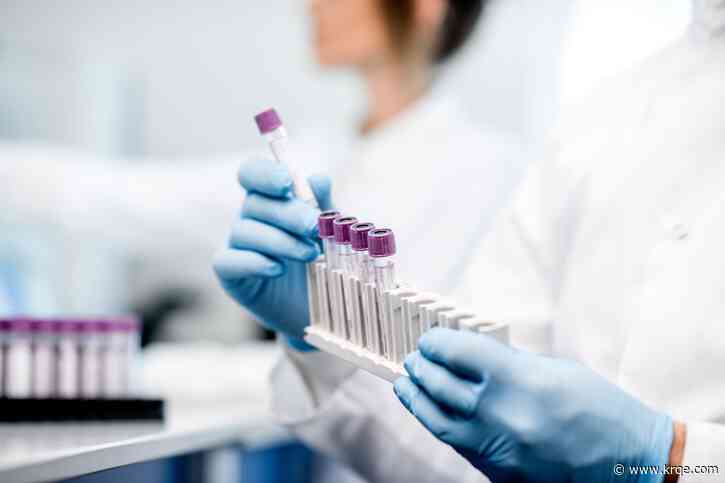 What is the new Langya virus that has infected 35 people in China