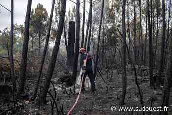 Incendies en Gironde : pourquoi le feu de La Teste-de-Buch a moins de risques de repartir aussi violemment - Sud Ouest