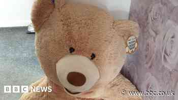 Rochdale car thief tried to hide from police inside teddy bear