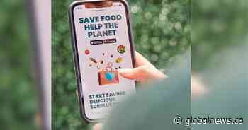 Too Good To Go app reducing restaurant, grocery food waste now in Hamilton
