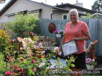 Beautifying Millet - Wetaskiwin Times Advertiser