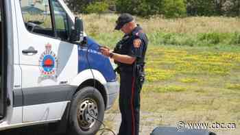 Thunder Bay, Ont., police continue search for 25-year-old man missing more than a week - CBC.ca