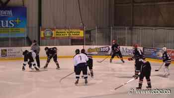 Thunder Bay city council takes timeout on changing priorities for arena ice time - CBC.ca