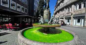 Grüne Brunnen in Bonn: Aktivisten färben Wasser mit Uranin - General-Anzeiger Bonn