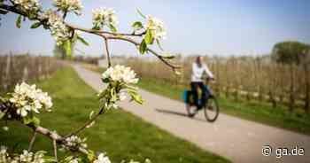Bonn zahlt 45 Prozent mehr: „Region Köln/Bonn“ verlangt deutlich höhere Beiträge - General-Anzeiger Bonn