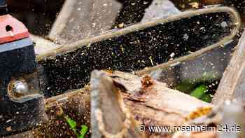 Schwerer Arbeitsunfall in Söchtenau: Frau (35) stolpert und fällt in Kettensäge