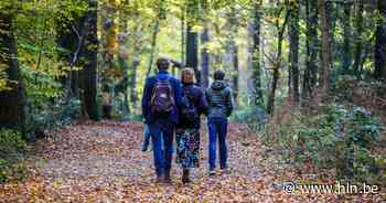 Zeven tips voor een verkoelende wandeling in Brugge en de Oostkust: van het grootste bos van West-Vlaanderen tot oude boerderijen - Het Laatste Nieuws