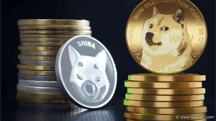 TA- Shiba Inu Struggles, But Could Be Set For A Major Run
