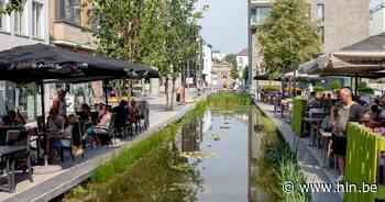 Dief steelt handtas tijdens winkelen | Mechelen | hln.be - Het Laatste Nieuws