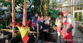 Slechts één bloeiende reuzenaronskelk dit jaar bij Plantentuin Meise, mis het niet! - Het Laatste Nieuws