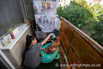 In Pictures: How people in Budapest are keeping cool amidst heatwave - Ealing Times