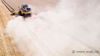 Bauern rechnen mit Ernteausfällen bis zu 40 Prozent