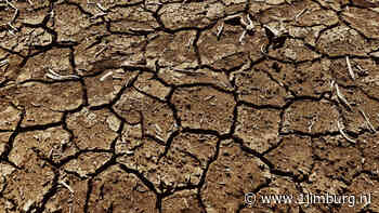 Neerslagtekort: situatie nijpend in Limburg - 1Limburg | Nieuws en sport uit Limburg