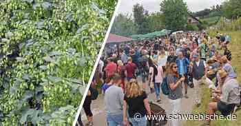 Tettnang: Hopfenwandertag bringt wieder Tausende auf die Strecke - Schwäbische