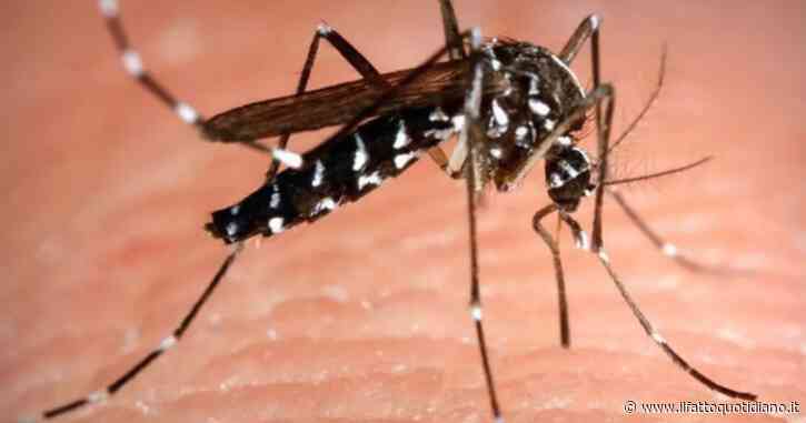 West Nile, un morto a Brescia: in una settimana sono 10. Cresce il numero di infezioni in Italia: 144 casi in 7 giorni