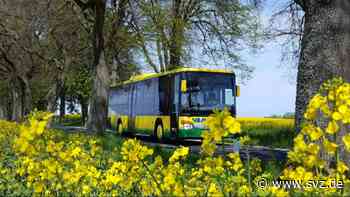 Klimaschutz in Ludwigslust-Parchim: „Sendung mit der Maus“ stellt E-Busse in Parchim vor - svz – Schweriner Volkszeitung