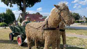 Umzug, Stunt-Show, Märchen und Tanz: An diesen Orten rund um Parchim wird das Erntefest gefeiert - svz – Schweriner Volkszeitung