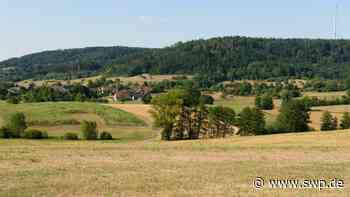 Trockenheit im Limpurger Land: Die Dürre in Gaildorf in Bildern: Wiesen gleichen Steppen, Rinder werden zugefüttert - SWP