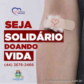 Saúde de Cruzeiro do Oeste disponibiliza transporte para doadores de sangue - Umuarama News