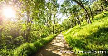 6 Reasons To Explore Concord, California On Your Next Visit To San Francisco - TravelAwaits