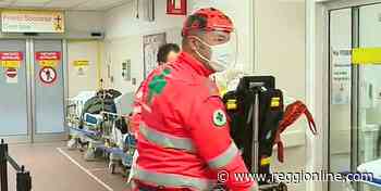 Cade da cavallo: grave un uomo di 62 anni a Prato di Correggio - Reggionline