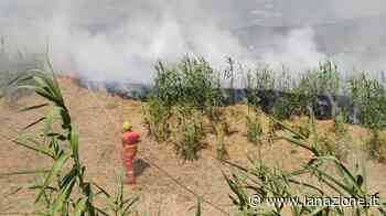 Prato, incendi tra Montemurlo e Galciana: in fumo 10 ettari di vegetazione - Cronaca - lanazione.it - LA NAZIONE