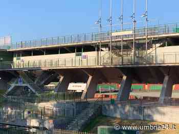 Ecco i tir con le zolle di prato allo stadio Liberati, i lavori entrano nel vivo - Umbria 24 News