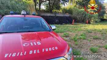 Prato, incendio in zona Interporto: tre focolai impegnano i vigili del fuoco - Cronaca - LA NAZIONE