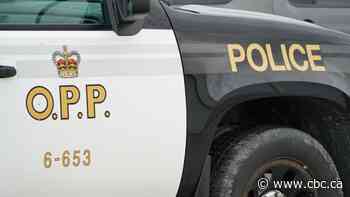 Spill assessment underway after barge with fuel overturns on Lake Saint Joseph, killing Goderich, Ont., mayor