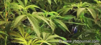 Metrc Signs Track-and-Trace Contract with State of Rhode Island - RFID Journal