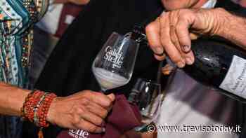 Calici di Stelle - Asolo 2022 Eventi a Treviso - TrevisoToday