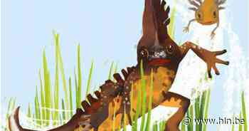 Dag van de Grote Ge(k)te op 11 september - Het Laatste Nieuws