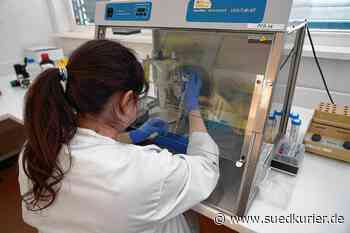 Singen: Affenpocken im Kreis Konstanz: So testet das Labor Blessing - SÜDKURIER Online