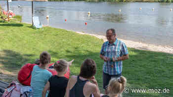Fischsterben in der Oder: Flussbad in Schwedt geschlossen – Kreis warnt vor Kontakt mit Oderwasser - Märkische Onlinezeitung