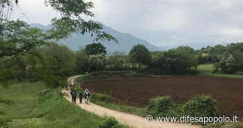 Cercando Maria lungo il Cammino delle apparizioni, da Lonigo e Monteberico fino a Baselga di Pinè - La Difesa del Popolo