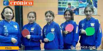 Tenistas de Loja preparan raquetas para juegos prejuveniles - Diario Crónica (Ecuador)