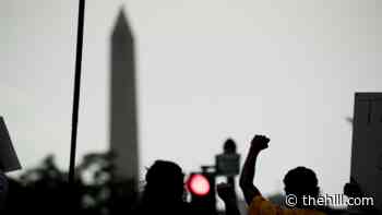 The US should seize the opportunity for global leadership on racial justice - The Hill