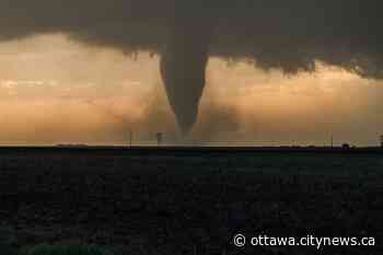 Meteorologists investigating possible tornado near Carleton Place - Ottawa.CityNews.ca