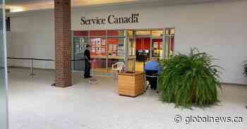 Service Canada introduces expedited passport process as backlog eases