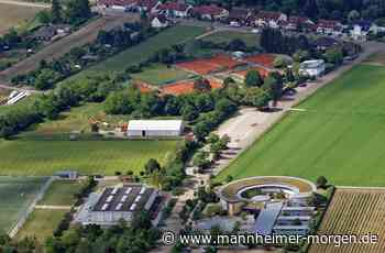 Schülerzahlen steigen weiter - Lampertheim - Nachrichten und Informationen - Mannheimer Morgen