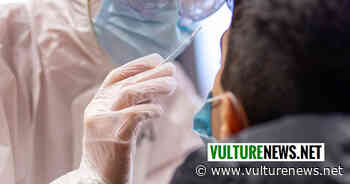 Coronavirus Basilicata, ultimissimo aggiornamento: 219 nuovi positivi di cui 3 a Melfi, 3 a Rionero e 3 a Venosa. Ecco i dati comune per comune - vulturenews.net