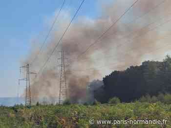 L’IMAGE. Près de Rouen, un feu d’espace naturel se déclare sous une ligne à haute tension - Paris-Normandie