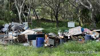 Heritage-listed island paradise has a rubbish problem