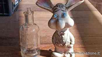 Curiosi ritrovamenti nel "Pescia" - Cronaca - lanazione.it - LA NAZIONE