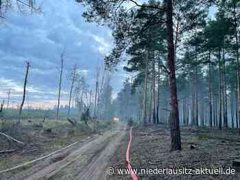 Waldbrand in Lieberoser Heide weitestgehend eingedämmt - NIEDERLAUSITZ aktuell