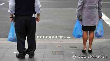 Plastic bags are banned in NSW so why are some businesses still using them?